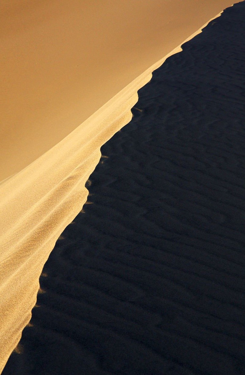 A dune in the desert